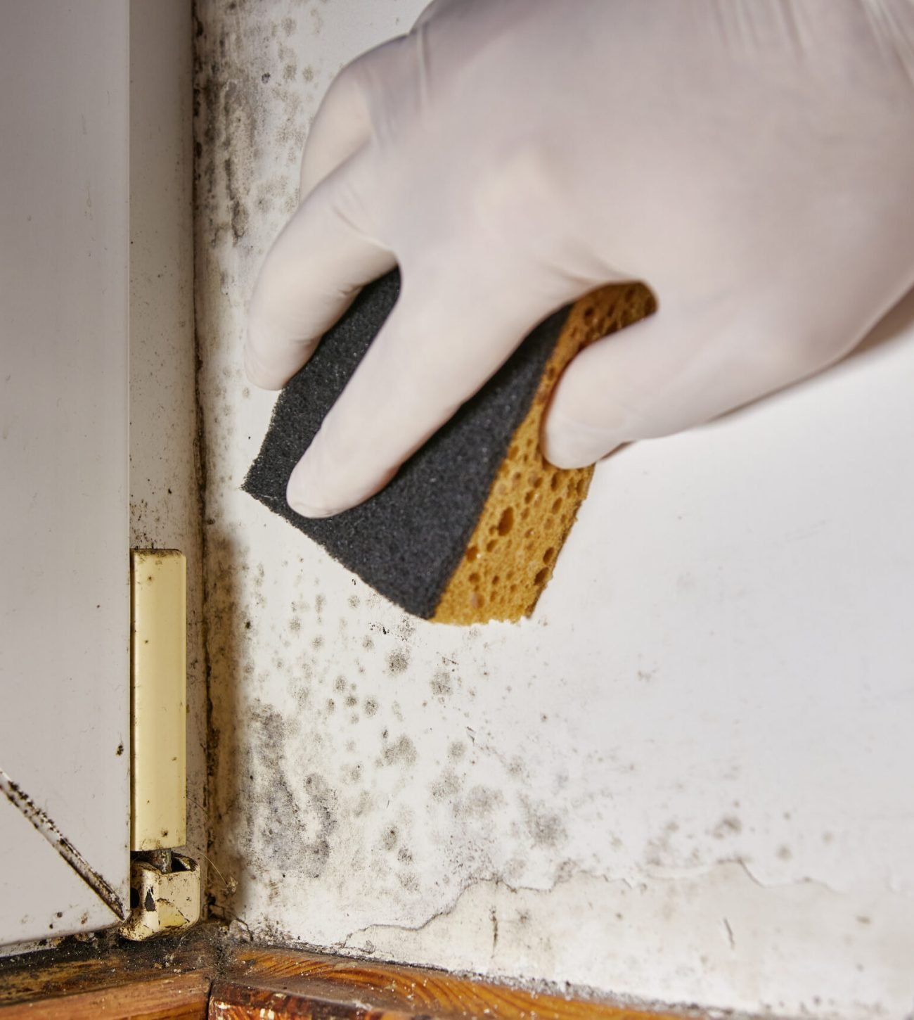Man uses a sponge to remove stains of toxic mold and fungal bacteria on the wall in the corner near the door. Concept of condensation, moisture. Problems with ventilation. High humidity.